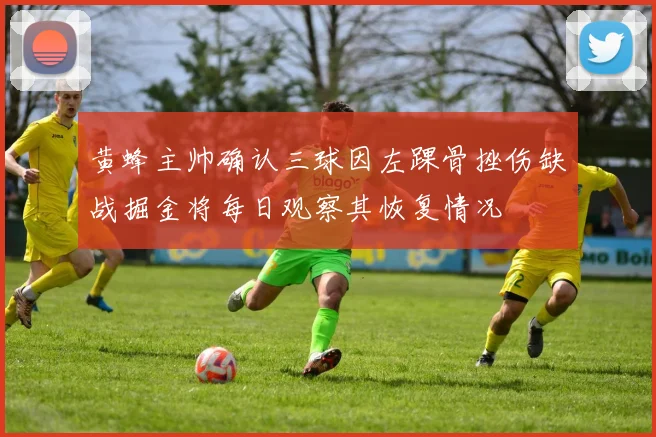 黄蜂主帅确认三球因左踝骨挫伤缺战掘金将每日观察其恢复情况