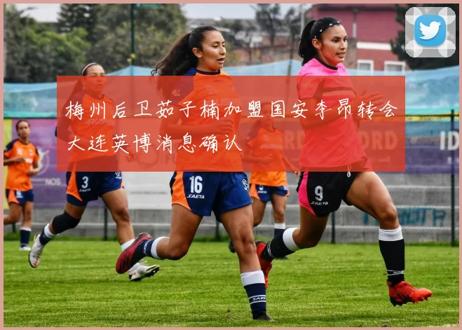 梅州后卫茹子楠加盟国安李昂转会大连英博消息确认