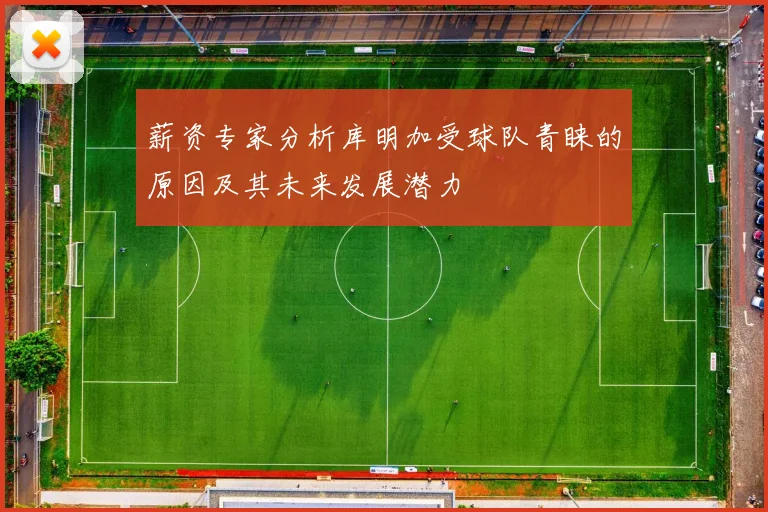 薪资专家分析库明加受球队青睐的原因及其未来发展潜力